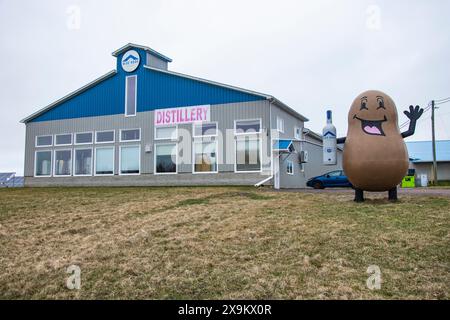 Mascotte de pommes de terre chez Blue Roof Distillers à Malden, Nouveau-Brunswick, Canada Banque D'Images