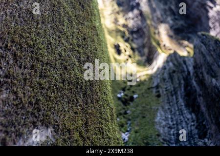 Un groupe de randonneurs intrépides se lance dans une aventure à travers une vallée de montagne luxuriante et ensoleillée, entourée de pentes couvertes de mousse. Banque D'Images