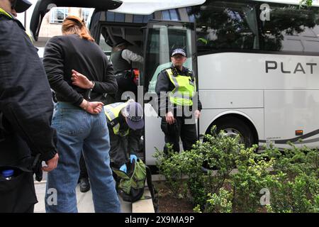 1er juin 2024, Londres, Angleterre, Royaume-Uni : un manifestant est menotté et fouillé par leur transport en autocar de luxe pendant la manifestation après avoir été arrêté pour avoir bloqué la route. Une manifestation pro-palestinienne a eu lieu autour du quartier de Waterloo à Londres, avec des manifestants de Youth réclamant un embargo israélien sur les armes. Ils réclament un embargo bilatéral sur les armes et la cessation des bombardements de Rafah. Israël continue de cibler Gaza plus de huit mois depuis le début de la guerre. Neuf arrestations ont été effectuées pour avoir bloqué l'autoroute. (Crédit image : © Martin Pope/ZUMA Press Wire) USAGE ÉDITORIAL SEULEMENT! Pas pour Banque D'Images