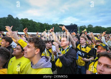 Londres, Royaume-Uni. 01 juin 2024. Les fans de Borussia Dortmund au Hyde Park Fan Park regardent le match avec impatience et beaucoup sont déçus par les occasions manquées. Les fusées lumineuses colorées sont allumées à un moment donné, mais l'atmosphère générale du site, qui semble avoir presque atteint sa capacité de 20 000, reste paisible. Le Real Madrid remporte la finale de l'UEFA Champions League 2-0 contre le Borussia Dortmund. Crédit : Imageplotter/Alamy Live News Banque D'Images