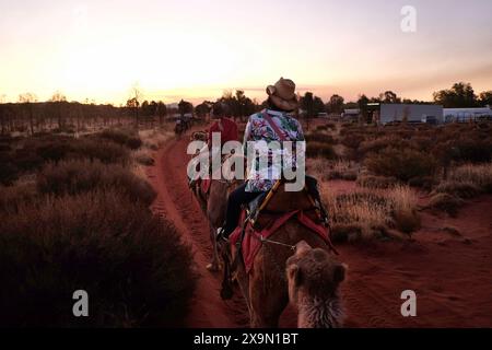 Femme chevauchant un chameau retournant à la ferme de chameaux le long d'un sentier de sable rouge avec des arbustes du désert, de l'herbe et des hangars de l'Outback au crépuscule en Australie centrale Banque D'Images