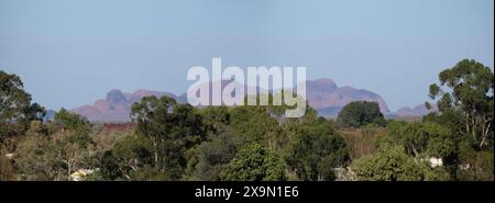 Uluru-Kata Tjuta, les monolithes de grès massif Olgas et les arbres dans le territoire du Nord offrent un large panorama sur le désert aride du « Centre Rouge » Banque D'Images