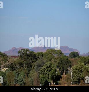 Uluru-Kata Tjuta, les monolithes de grès massif Olgas et les arbres dans le territoire du Nord Petermann Ranges 'Red Centre' désert aride Banque D'Images