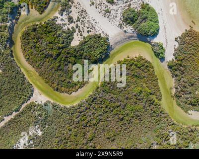 Vue aérienne d'un ruisseau étroit serpentant à travers les mangroves de Streaky Bay sur la péninsule d'Eyre en Australie méridionale Banque D'Images
