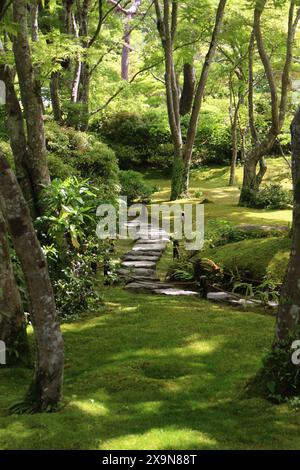 Vert frais dans le jardin Okochi-sanso, Kyoto, Japon Banque D'Images