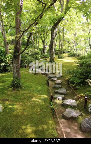 Vert frais dans le jardin Okochi-sanso, Kyoto, Japon Banque D'Images