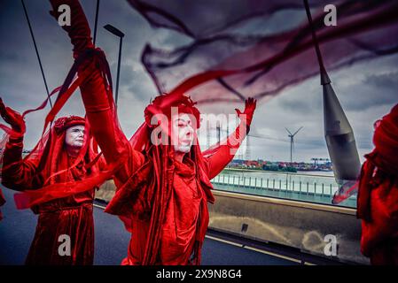 Exstinction la marche de la rébellion à travers le pont occupé à Nimègue. Des militants du groupe d'action extinction Rebellion (XR) bloquent le pont de la ville (de Overstuk) le 1er juin. C'est l'une des actions contre l'arrivée possible d'une nouvelle centrale électrique à Nimègue qui fonctionnera au gaz pendant des années. XR veut que cela cesse « immédiatement ». Le maire de Nimègue, Hubert Bruls, a autorisé une marche de protestation de XR à travers le centre de Nimègue et a annoncé à l'avance qu'il prendrait des mesures si l'un des ponts était bloqué. pont de train est deux ponts de ville pour la circulation. Le pont Waal (1936) et l'Overste Banque D'Images