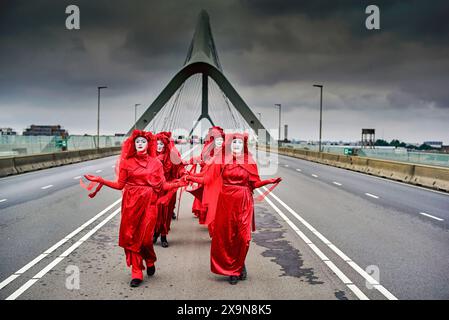 Exstinction la marche de la rébellion à travers le pont occupé à Nimègue. Des militants du groupe d'action extinction Rebellion (XR) bloquent le pont de la ville (de Overstuk) le 1er juin. C'est l'une des actions contre l'arrivée possible d'une nouvelle centrale électrique à Nimègue qui fonctionnera au gaz pendant des années. XR veut que cela cesse « immédiatement ». Le maire de Nimègue, Hubert Bruls, a autorisé une marche de protestation de XR à travers le centre de Nimègue et a annoncé à l'avance qu'il prendrait des mesures si l'un des ponts était bloqué. pont de train est deux ponts de ville pour la circulation. Le pont Waal (1936) et l'Overste Banque D'Images