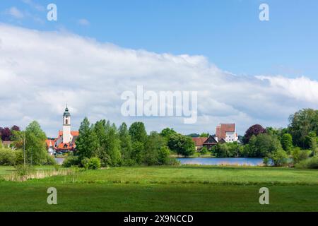 lac Zellersee, église constituée Gallus et Ulrich, Altes Schloss Old Castle Kißlegg Kißlegg Oberschwaben-Allgäu Baden-Württemberg Allemagne Banque D'Images