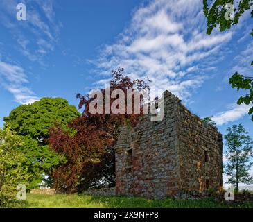 Ballinshoe Castle, une petite tour rectangulaire du 16ème siècle cachée par des arbres matures près de Woodhead Farm à Angus. Banque D'Images