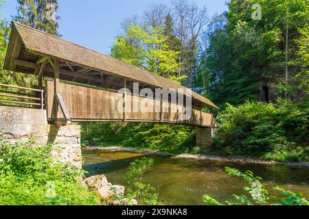 Wutachschlucht Wutach gorge, rivière Wutach, pont Kanadiersteg Wutach Schwarzwald, Forêt Noire Bade-Württemberg Allemagne Banque D'Images