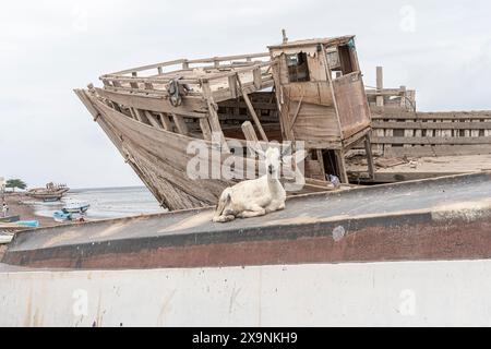 Scène de rue à Tadjourah, République de Djibouti, Afrique Banque D'Images