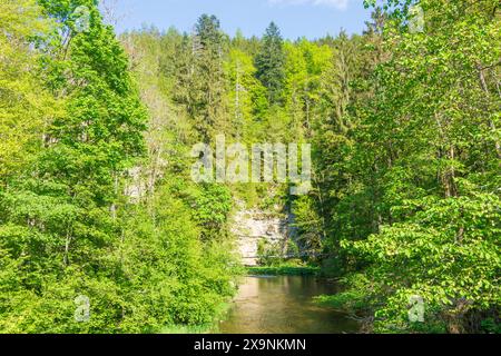 Wutachschlucht Wutach gorge, rivière Wutach, pont Rümmelesteg Wutach Schwarzwald, Forêt Noire Bade-Württemberg Allemagne Banque D'Images