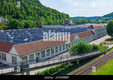 Usine avec toit de hangar Oberndorf am Neckar Schwarzwald, Forêt Noire Bade-Württemberg Allemagne Banque D'Images