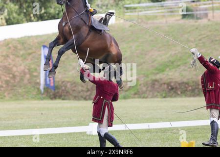 19 mai 2024, Mafra, Portugal - concours à l'académie militaire - L'homme en manteau rouge tient la queue d'un cheval Banque D'Images