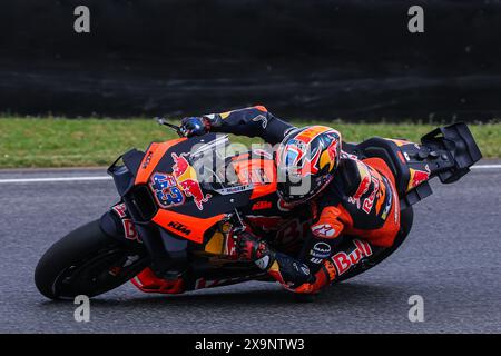 Scarperia, Italie. 31 mai 2024. Jack Miller d'Australie et Red Bull KTM Factory Racing en action lors du MotoGP GP7 Gran Premio d'Italia Brembo - essais libres sur le circuit de Mugello. (Photo de Fabrizio Carabelli/SOPA images/Sipa USA) crédit : Sipa USA/Alamy Live News Banque D'Images