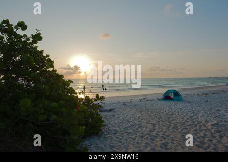 Vue grand angle de la plage Pass-a-grille en composé Pete Beach Florida regardant le soleil de l'ouest avec des buissons sur la gauche. Avoine de mer, gens dans l'eau et le sable. Dim Banque D'Images