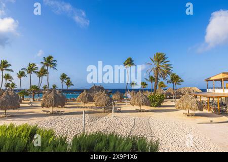 Vue spectaculaire sur la plage de sable de l'hôtel avec chaises longues, parasols, palmiers et terrain de volley-ball au bord de la mer des Caraïbes. Curaçao. Banque D'Images