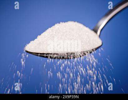 Les cristaux de sucre ruisselent d'une cuillère avec le sucre accumulé Banque D'Images