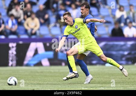 Genk, Belgique. 02 juin 2024. Julien de Sart de Gent et Andi Zeqiri de Genk se battent pour le ballon lors d'un match de football entre KRC Genk et KAA Gent, dimanche 2 juin 2024 à Genk, un match de play-off européen pour une place dans la compétition européenne de football de la saison prochaine, a la fin de la première division du championnat belge 'Jupiler Pro League' 2023-2024. BELGA PHOTO JOHAN Eyckens crédit : Belga News Agency/Alamy Live News Banque D'Images