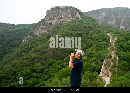 (240602) -- PÉKIN, 2 juin 2024 (Xinhua) -- Mei Jingtian, un protecteur de la Grande Muraille âgé de 80 ans, est vu sur la Grande Muraille dans le village de Shixia dans le district de Yanqing à Pékin, capitale de la Chine, le 23 mai 2024. Mei a commencé à protéger la Grande Muraille spontanément depuis le début des années 1980 et a sensibilisé de nombreux villageois à la protection de la Grande Muraille. Le village de Shixia dans le district de Yanqing à Pékin a été construit pour la première fois sous la dynastie Ming (1368-1644) et était autrefois un passage important dans le nord de la section de Juyongguan de la Grande Muraille. Le village, qui est entouré de montagnes, a développé un t Banque D'Images