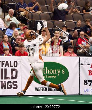 Jacksonville, Floride, États-Unis. 1er juin 2024. Ligue de football en salle, Jacksonville Sharks vs Arizona Rattlers. Les Rattlers WR NIH-Jer Jackson (17 ans) transportent dans une passe large avant de s'immiscer pour le touchdown. Crédit photo : Tim Davis/Alamy Live News Banque D'Images