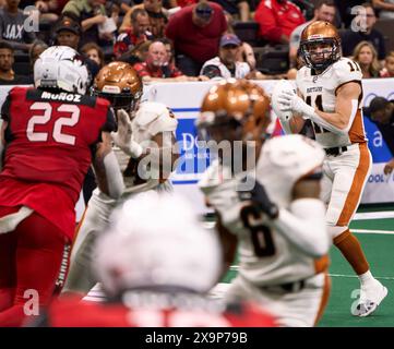 Jacksonville, Floride, États-Unis. 1er juin 2024. Ligue de football en salle, Jacksonville Sharks vs Arizona Rattlers. Rattlers QB Dalton Sneed (11 ans) regarde la pièce se développer alors qu'il s'installe dans la poche. Crédit photo : Tim Davis/Alamy Live News Banque D'Images