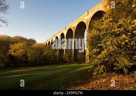 Le viaduc de Porthkerry se trouve parmi les couleurs d'automne du parc Porthkerry, à Barry, au sud du pays de Galles. Banque D'Images