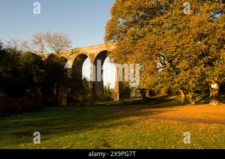 Le viaduc de Porthkerry se trouve parmi les couleurs d'automne du parc Porthkerry, à Barry, au sud du pays de Galles. Banque D'Images