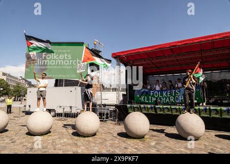 Manifestants avec le drapeau palestinien pendant Folkets Klimamarch a lieu à Copenhague . Elle aura lieu avant les prochaines élections du Parlement européen le dimanche 2 juin 2024 Copenhague Christiansborg Slotsplads Denmark Copyright : xKristianxTuxenxLadegaardxBergx 2E6A5376 Banque D'Images