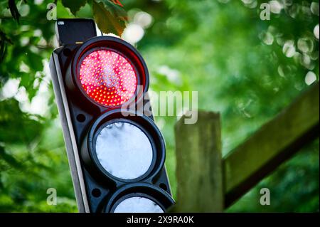 Feux de circulation temporaires sur rouge fixés contre les arbres Banque D'Images