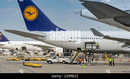 Washington DC, États-Unis - 29 avril 2024 : chargement de palettes de fret aérien dans un Airbus A340 exploité par la compagnie aérienne allemande Lufthansa à l'aéroport de Dulles Banque D'Images