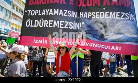 Izmir, Turquie. 02 juin 2024. Les militants des droits des animaux se sont rassemblés dans de nombreuses provinces de Turquie aujourd'hui et ont protesté contre les changements qui prévoient d'apporter à la "Loi sur la protection des animaux". Initiatives, défenseurs des droits des animaux et l'Association du Barreau d'Izmir ont pris la parole lors du rassemblement de la Justice et se sont opposés à la loi. Si la loi est adoptée, les chiens errants dont la population a augmenté seront collectés, et s’ils ne sont pas adoptés dans les 30 jours, ils seront euthanasiés. Crédit : İdil Toffolo/Alamy Live News Banque D'Images