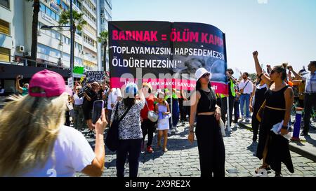 Izmir, Turquie. 02 juin 2024. Les militants des droits des animaux se sont rassemblés dans de nombreuses provinces de Turquie aujourd'hui et ont protesté contre les changements qui prévoient d'apporter à la "Loi sur la protection des animaux". Initiatives, défenseurs des droits des animaux et l'Association du Barreau d'Izmir ont pris la parole lors du rassemblement de la Justice et se sont opposés à la loi. Si la loi est adoptée, les chiens errants dont la population a augmenté seront collectés, et s’ils ne sont pas adoptés dans les 30 jours, ils seront euthanasiés. Crédit : İdil Toffolo/Alamy Live News Banque D'Images