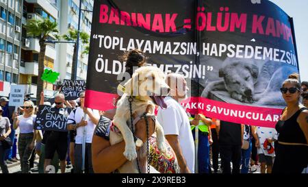 Izmir, Turquie. 02 juin 2024. Les militants des droits des animaux se sont rassemblés dans de nombreuses provinces de Turquie aujourd'hui et ont protesté contre les changements qui prévoient d'apporter à la "Loi sur la protection des animaux". Initiatives, défenseurs des droits des animaux et l'Association du Barreau d'Izmir ont pris la parole lors du rassemblement de la Justice et se sont opposés à la loi. Si la loi est adoptée, les chiens errants dont la population a augmenté seront collectés, et s’ils ne sont pas adoptés dans les 30 jours, ils seront euthanasiés. Crédit : İdil Toffolo/Alamy Live News Banque D'Images