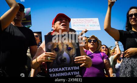 Izmir, Turquie. 02 juin 2024. Les militants des droits des animaux se sont rassemblés dans de nombreuses provinces de Turquie aujourd'hui et ont protesté contre les changements qui prévoient d'apporter à la "Loi sur la protection des animaux". Initiatives, défenseurs des droits des animaux et l'Association du Barreau d'Izmir ont pris la parole lors du rassemblement de la Justice et se sont opposés à la loi. Si la loi est adoptée, les chiens errants dont la population a augmenté seront collectés, et s’ils ne sont pas adoptés dans les 30 jours, ils seront euthanasiés. Crédit : İdil Toffolo/Alamy Live News Banque D'Images