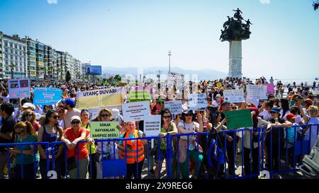 Izmir, Turquie. 02 juin 2024. Les militants des droits des animaux se sont rassemblés dans de nombreuses provinces de Turquie aujourd'hui et ont protesté contre les changements qui prévoient d'apporter à la "Loi sur la protection des animaux". Initiatives, défenseurs des droits des animaux et l'Association du Barreau d'Izmir ont pris la parole lors du rassemblement de la Justice et se sont opposés à la loi. Si la loi est adoptée, les chiens errants dont la population a augmenté seront collectés, et s’ils ne sont pas adoptés dans les 30 jours, ils seront euthanasiés. Crédit : İdil Toffolo/Alamy Live News Banque D'Images