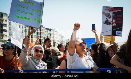 Izmir, Turquie. 02 juin 2024. Les militants des droits des animaux se sont rassemblés dans de nombreuses provinces de Turquie aujourd'hui et ont protesté contre les changements qui prévoient d'apporter à la "Loi sur la protection des animaux". Initiatives, défenseurs des droits des animaux et l'Association du Barreau d'Izmir ont pris la parole lors du rassemblement de la Justice et se sont opposés à la loi. Si la loi est adoptée, les chiens errants dont la population a augmenté seront collectés, et s’ils ne sont pas adoptés dans les 30 jours, ils seront euthanasiés. Crédit : İdil Toffolo/Alamy Live News Banque D'Images