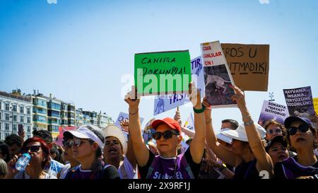 Izmir, Turquie. 02 juin 2024. Les militants des droits des animaux se sont rassemblés dans de nombreuses provinces de Turquie aujourd'hui et ont protesté contre les changements qui prévoient d'apporter à la "Loi sur la protection des animaux". Initiatives, défenseurs des droits des animaux et l'Association du Barreau d'Izmir ont pris la parole lors du rassemblement de la Justice et se sont opposés à la loi. Si la loi est adoptée, les chiens errants dont la population a augmenté seront collectés, et s’ils ne sont pas adoptés dans les 30 jours, ils seront euthanasiés. Crédit : İdil Toffolo/Alamy Live News Banque D'Images