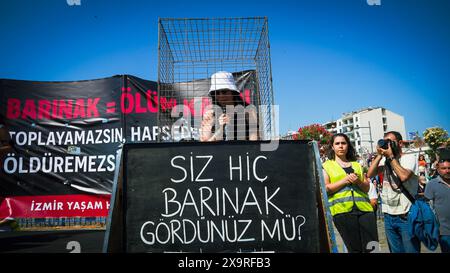 Izmir, Turquie. 02 juin 2024. Les militants des droits des animaux se sont rassemblés dans de nombreuses provinces de Turquie aujourd'hui et ont protesté contre les changements qui prévoient d'apporter à la "Loi sur la protection des animaux". Initiatives, défenseurs des droits des animaux et l'Association du Barreau d'Izmir ont pris la parole lors du rassemblement de la Justice et se sont opposés à la loi. Si la loi est adoptée, les chiens errants dont la population a augmenté seront collectés, et s’ils ne sont pas adoptés dans les 30 jours, ils seront euthanasiés. Crédit : İdil Toffolo/Alamy Live News Banque D'Images