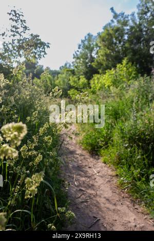 La route part dans la distance Banque D'Images