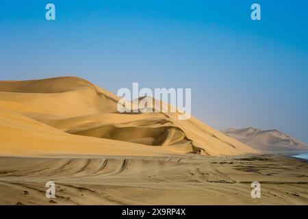 Namibie, région d'Erongo, Walvis Bay, Sandwich Harbour, dunes de sable atteignant l'océan Banque D'Images