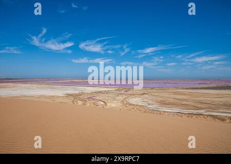 Namibie, région d'Erongo, Walvis Bay, Sandwich Harbour, salines parmi les dunes Banque D'Images