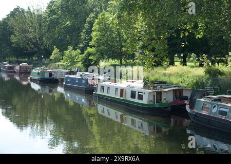 Péniches et barges sur le Regents canal à Victoria Park, Bow, East London, Tower Hamlets, Londres, ROYAUME-UNI Banque D'Images