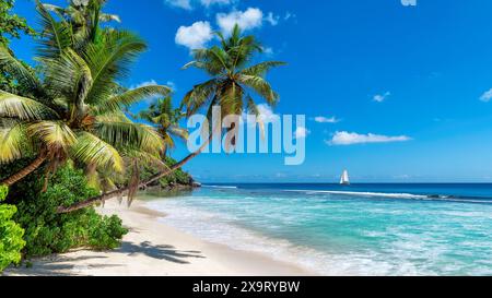 Plage ensoleillée avec des palmiers et un voilier dans la mer turquoise Banque D'Images