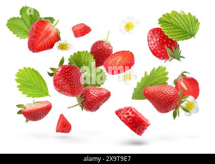 Fraises mûres et fleurs dans l'air sur fond blanc Banque D'Images