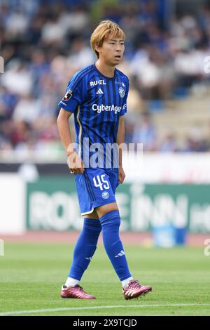 Machida Gion Stadium, Tokyo, Japon. 1er juin 2024. Kai Shibato (Zelvia), 1er JUIN 2024 - Football/Football : 2024 J1 League match entre le FC Machida Zelvia 1-3 Albirex Niigata au Machida Gion Stadium, Tokyo, Japon. Crédit : AFLO SPORT/Alamy Live News Banque D'Images