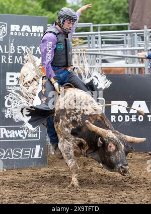 Brooklin, Canada. 2 juin 2024. Un cow-boy participe à l'épreuve d'équitation de taureaux au Ram Rodeo Tour 2024 à Brooklin, Ontario, Canada, le 2 juin 2024. Crédit : Zou Zheng/Xinhua/Alamy Live News Banque D'Images