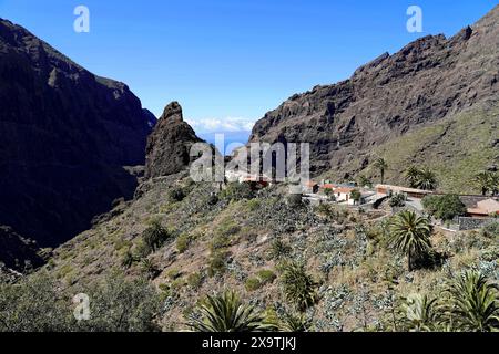 Village de montagne Masca, Masca gorge, Montana Teno Mountains, Tenerife, Îles Canaries, Espagne, Europe, Un village dans les montagnes avec une vue large de Banque D'Images