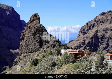 Village de montagne Masca, Masca gorge, Montana Teno Mountains, Tenerife, Îles Canaries, Espagne, Europe, rochers et un petit village dans la vallée avec un Banque D'Images